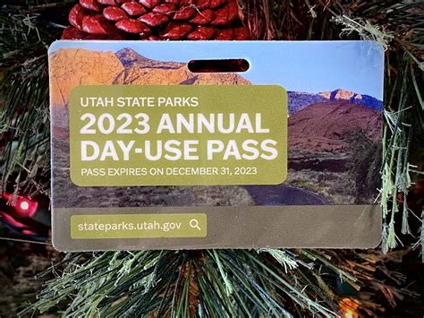 Annual Pass Purchase .